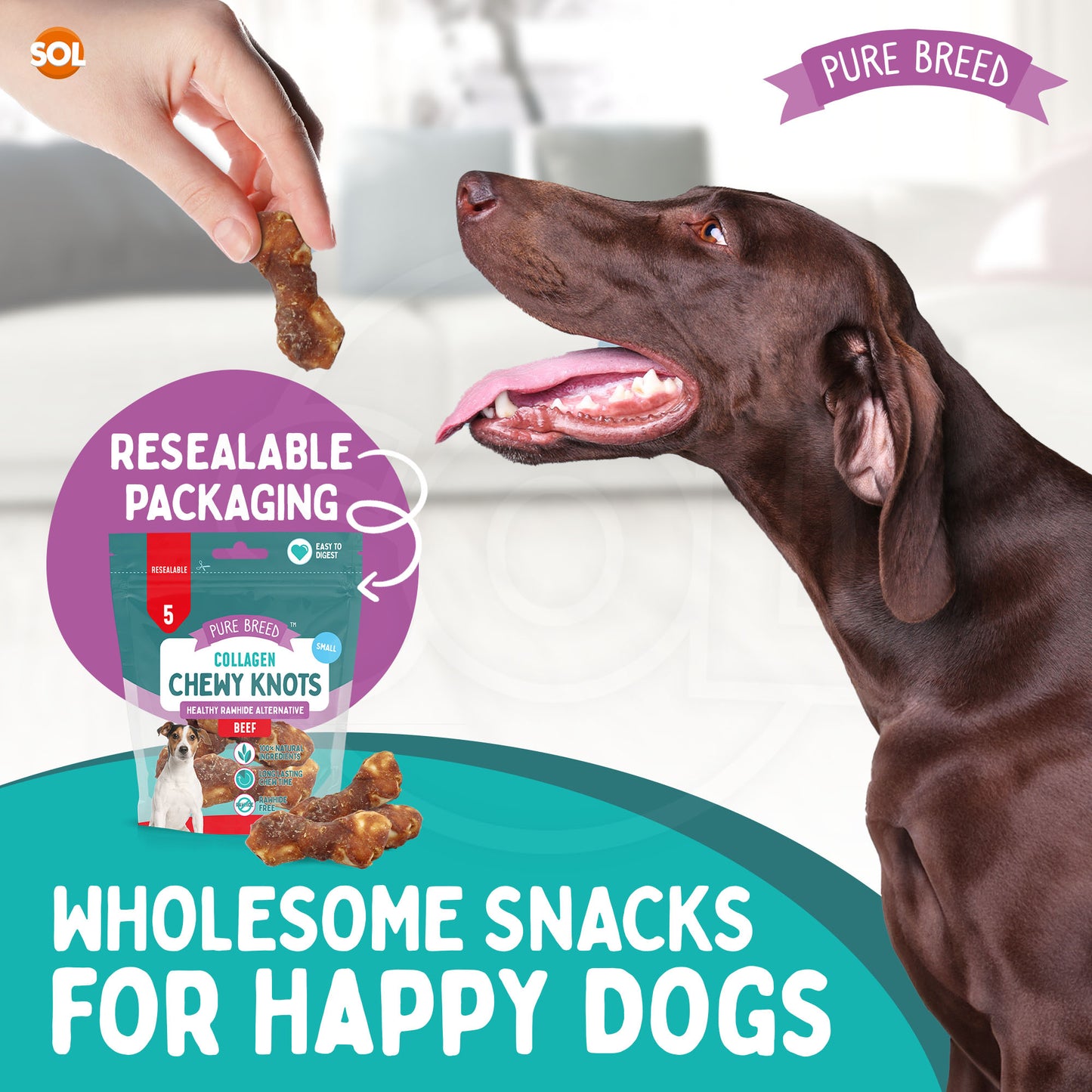 20-60pk Collagen Chewy Knots Beef Small Dog Chews Rawhide Free Reward Treats