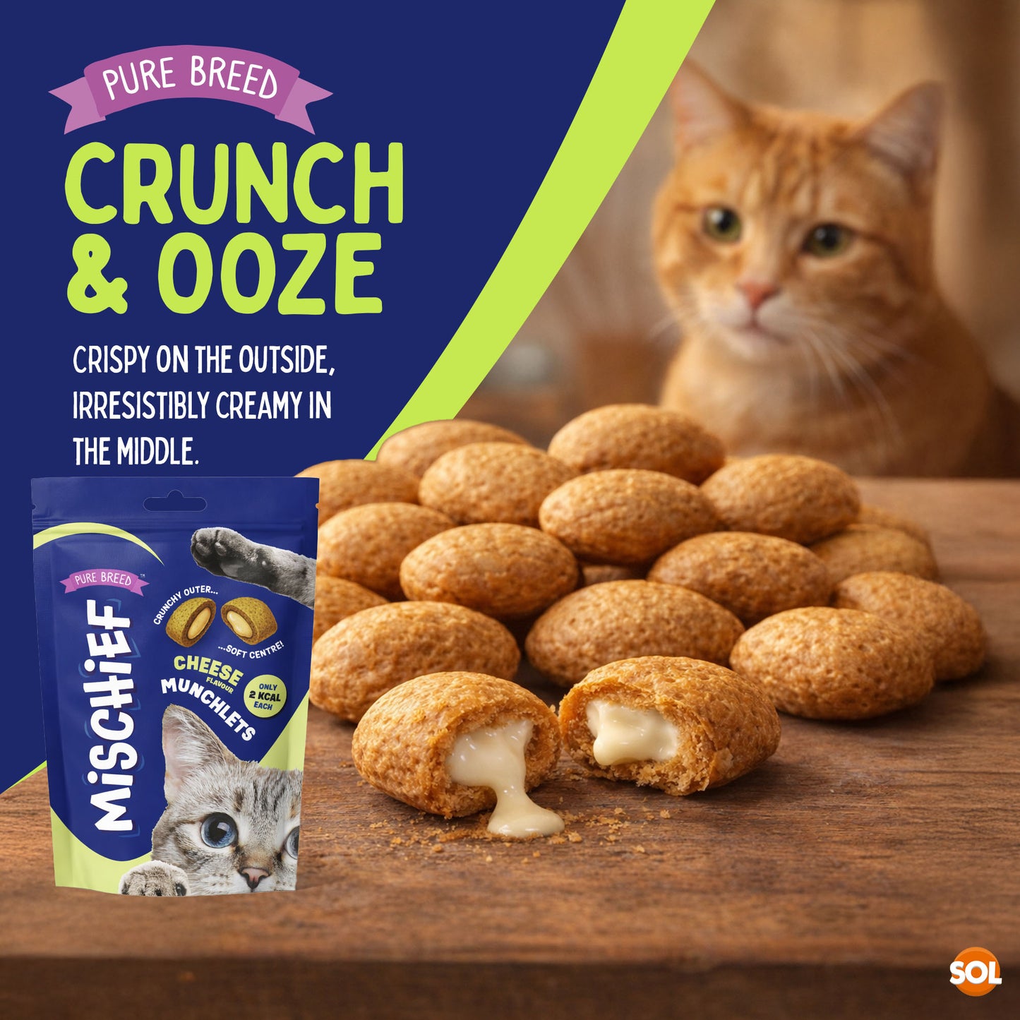 6-12pk Cat Pillow Chews Cheese Crunchy Cat Treats 125g Training Bulk Snack