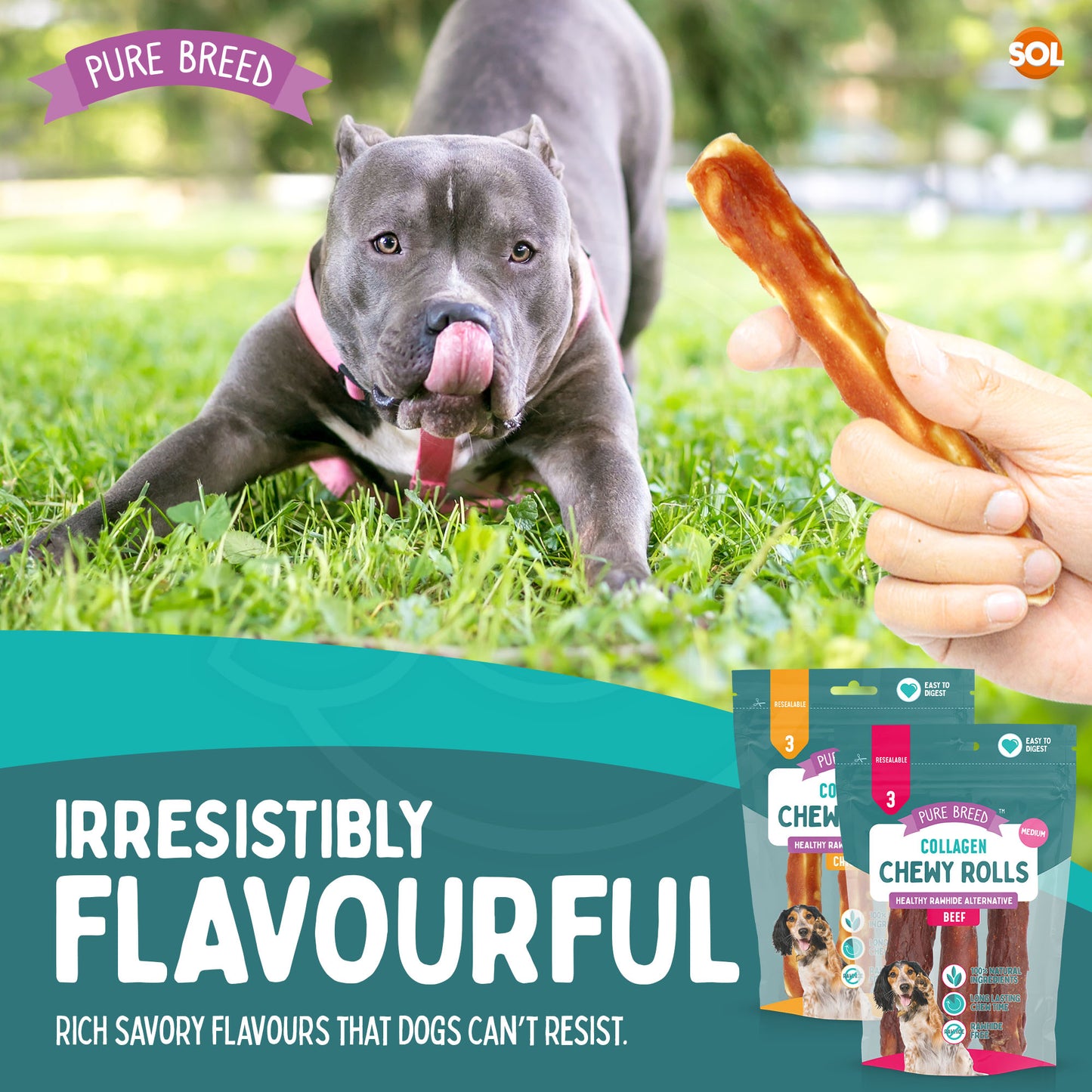 SOL 12pk Medium Collagen Chewy Rolls - Beef and Chicken Dog Chews