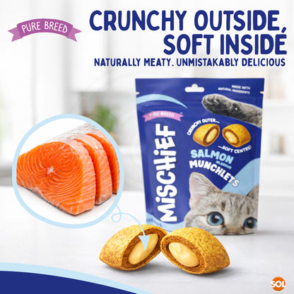 6-12pk Cat Pillow Chews Salmon Crunchy Cat Treats 125g Training Bulk Snack