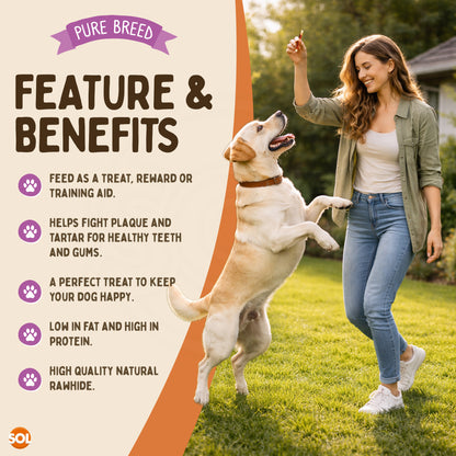 Dog Chews Rawhide Duck Snack | Healthy Treats | 10 Pack