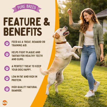 Dog Chews Rawhide Twists Wrapped in Chicken Healthy Treats | 50 Pack