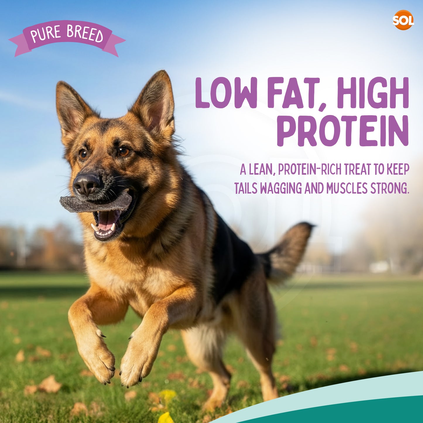 Pure Breed 10pk Beef Liver Treats For Dogs - Natural Dog Treats 500g