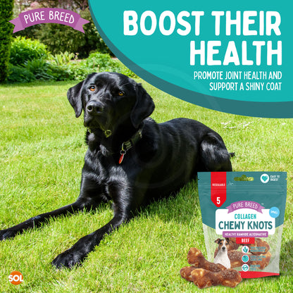 20-60pk Collagen Chewy Knots Beef Small Dog Chews Rawhide Free Reward Treats