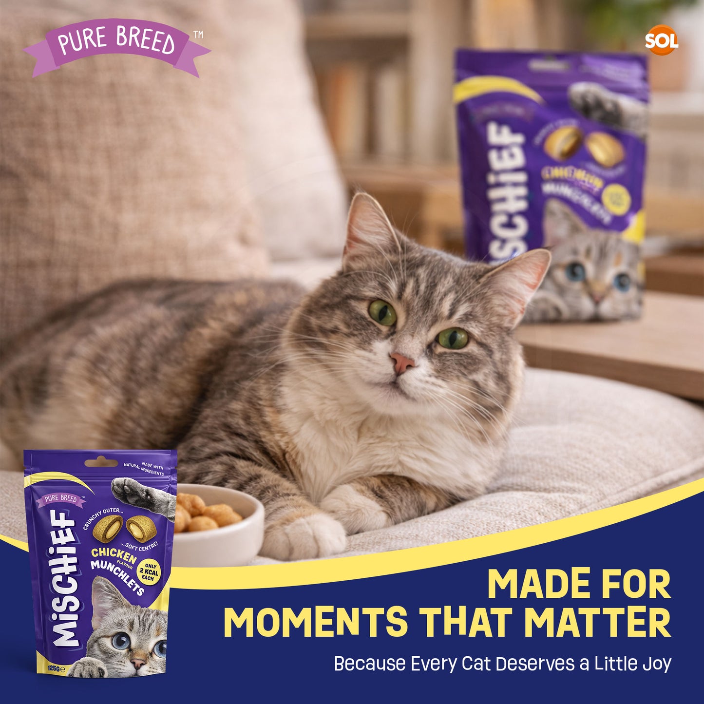 6-12pk Cat Pillow Chews Chicken Crunchy Cat Treats 125g Training Bulk Snack