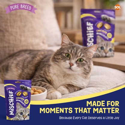 6-12pk Cat Pillow Chews Chicken Crunchy Cat Treats 125g Training Bulk Snack