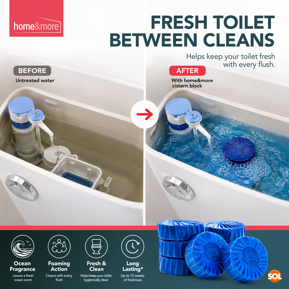 24pk Blue Loo Toilet Blocks for Cistern - Blue Toilet Blocks