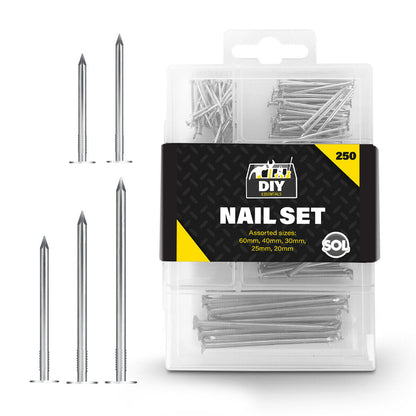 250 Assorted Flat Head Wood Nails Various DIY Carpentry Professional Metal Pins