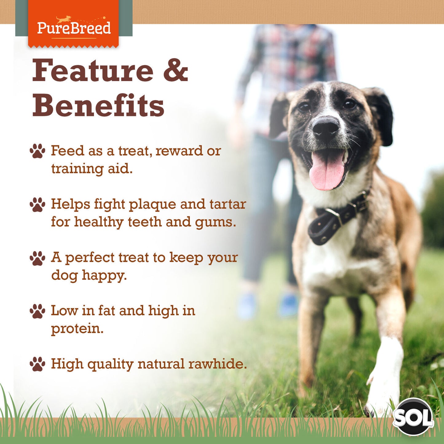 Dog Chews Treats Wrapped in Duck Meat Rawhide Twists Sticks  Healthy Food Snacks