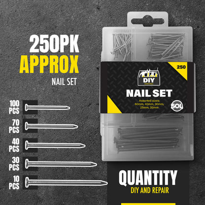 250 Assorted Flat Head Wood Nails Various DIY Carpentry Professional Metal Pins