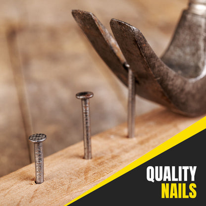 250 Assorted Flat Head Wood Nails Various DIY Carpentry Professional Metal Pins