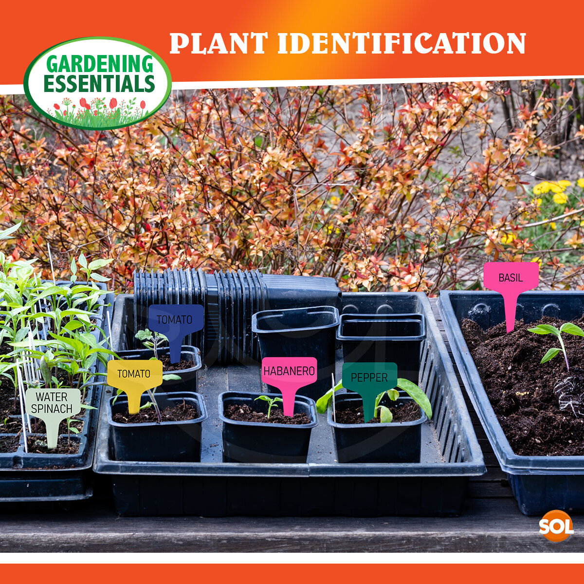 100-300pk Plastic Plant Labels T Type Waterproof Garden Markers Herb Name Tags