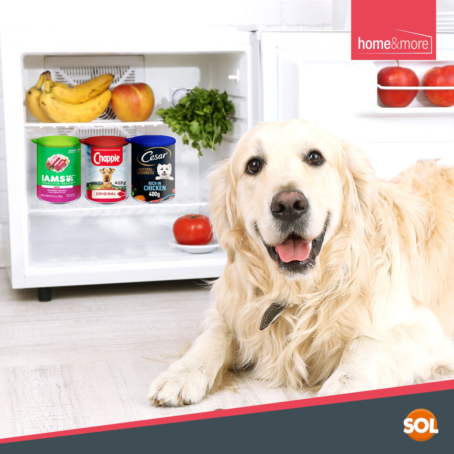 6 Plastic Can Lids Tin Covers Pet Dog Cat Food Reusable Caps Tops Fresh Storage