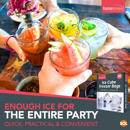 Ice Cube Freezer Bags | 840 Disposable Cubes Clear Maker Bags | 30 Pack
