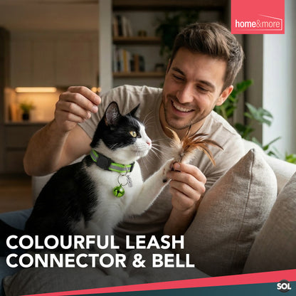 Reflective Cat Collar with Safety Release | ID Tag Bell | Quick Adjustable 6 Pack