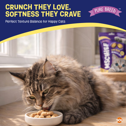 6-12pk Cat Pillow Chews Chicken Crunchy Cat Treats 125g Training Bulk Snack