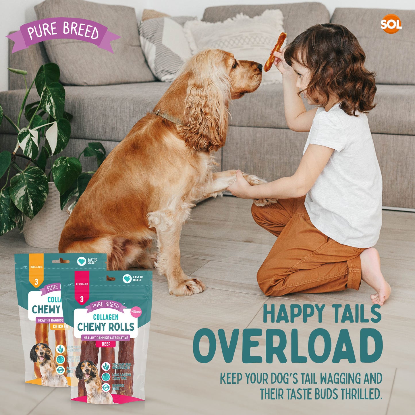 SOL 12pk Medium Collagen Chewy Rolls - Beef and Chicken Dog Chews