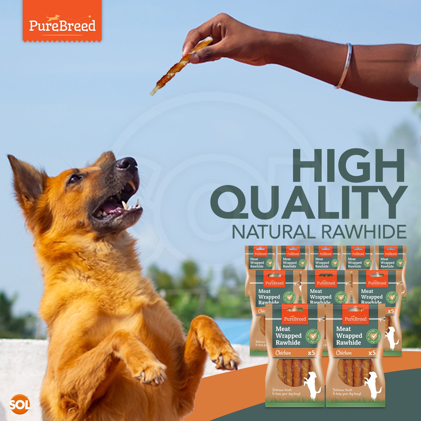 50pk Dog Chews Treats Rawhide Twists Sticks Wrapped in Chicken Meat Healthy Food