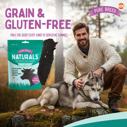Pure Breed 10pk Beef Liver Treats For Dogs - Natural Dog Treats 500g