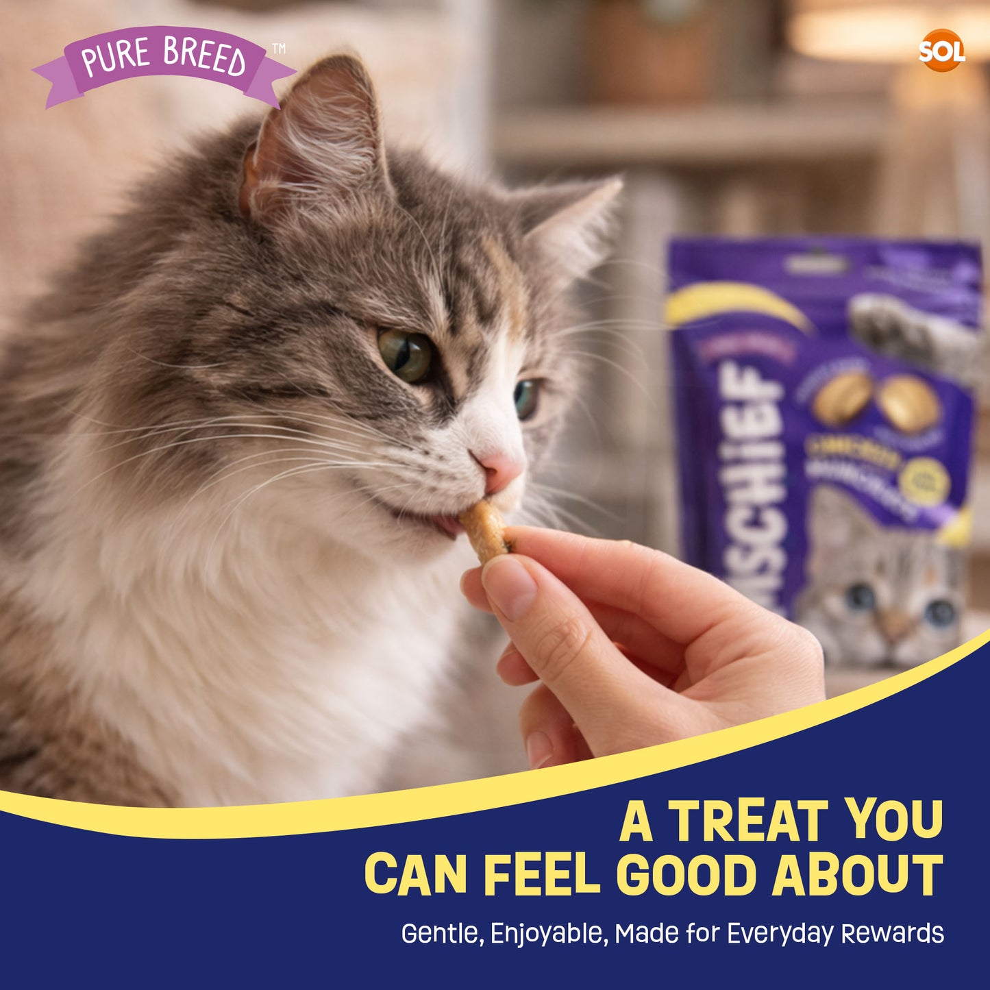 6-12pk Cat Pillow Chews Chicken Crunchy Cat Treats 125g Training Bulk Snack