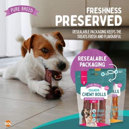 SOL 12pk Medium Collagen Chewy Rolls - Beef and Chicken Dog Chews