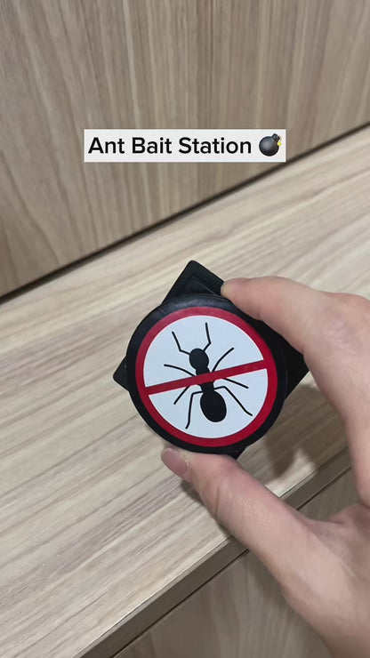 Ant Trap Bait Station | Stop Ants Killer Indoor & Outdoor | 6 Pack