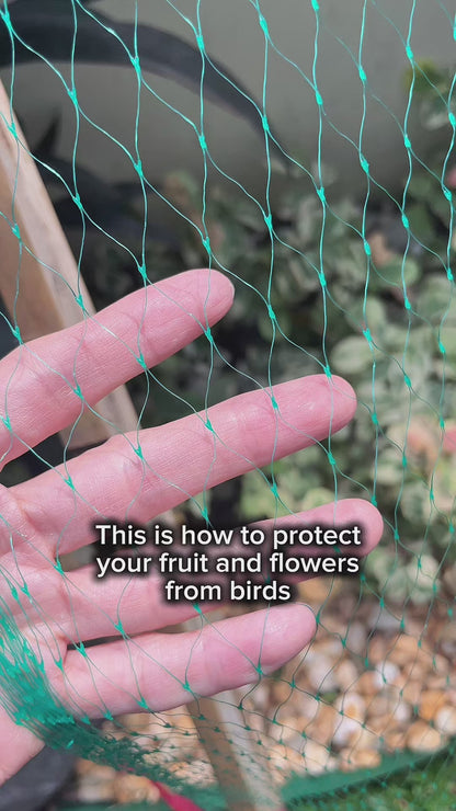 Garden Netting 6M x 2M Green Anti Bird Pond Mesh
