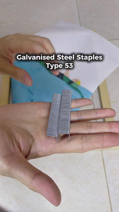 Heavy Duty Staple Gun Staples 8-14mm Type 53 | 5000 Pack