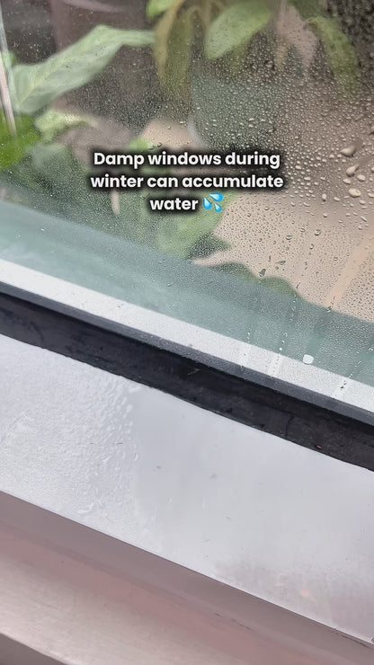 Condensation Drip Strip Window Seal 8M – Absorbs Moisture Fast