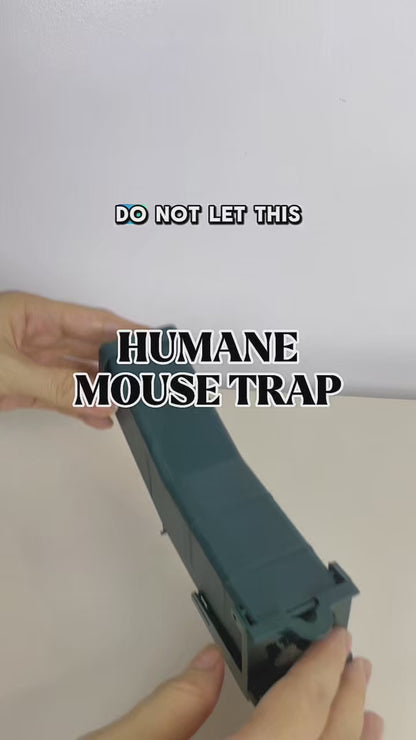 Humane Mouse Trap | Live Catch Rodent Cage Indoor Use